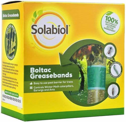 Solabiol Boltac Greasebands, Yellow, 1.75 m